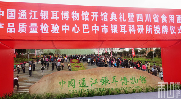 通江银耳博物馆于第三届中国通江银耳节上隆重揭幕